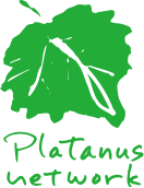 プラタナス ネットワーク